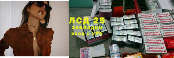 индика Касимов