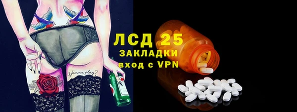 индика Касимов