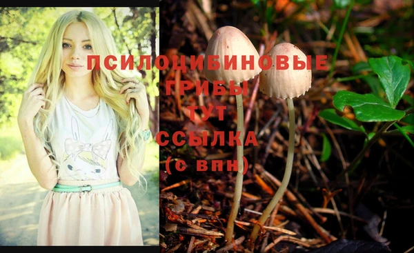 MDMA Premium VHQ Карпинск