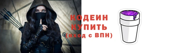 индика Касимов
