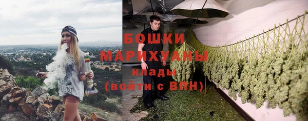 индика Касимов