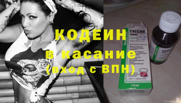 индика Касимов