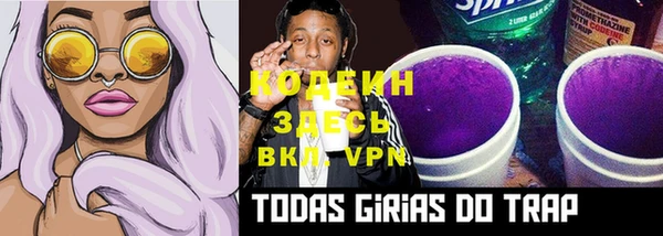 индика Касимов