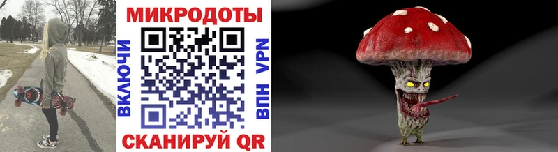 Псилоцибиновые грибы Psilocybe  Купить где  Губкин 